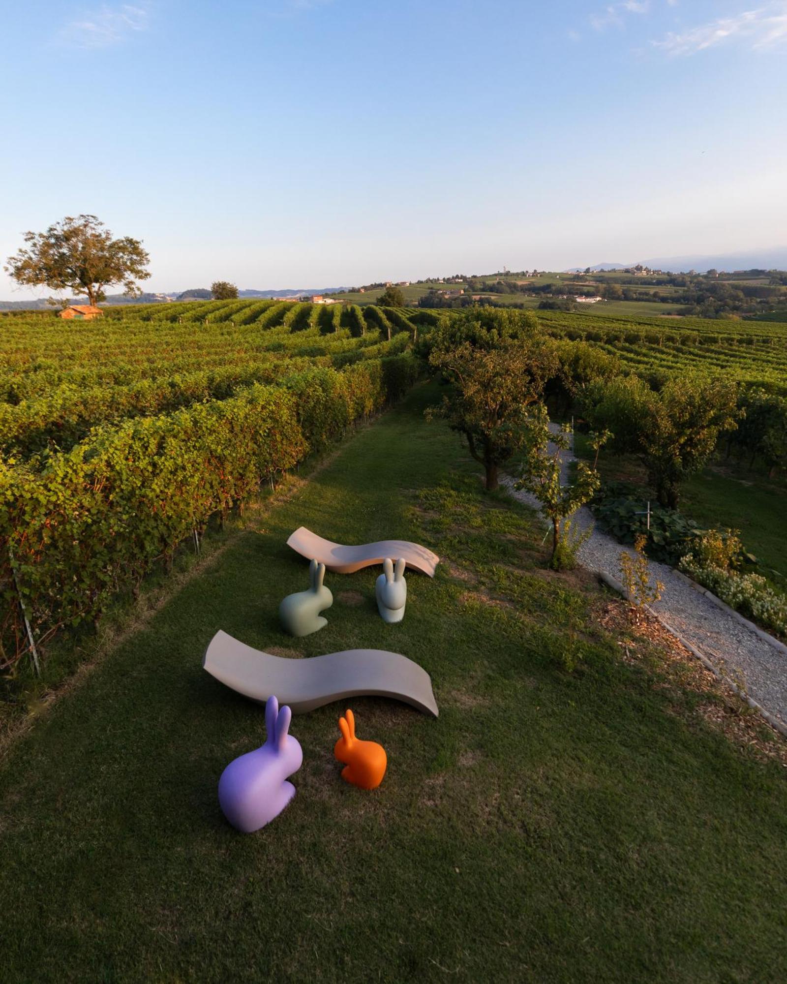 Apartamento Vineho Barolo Exterior foto